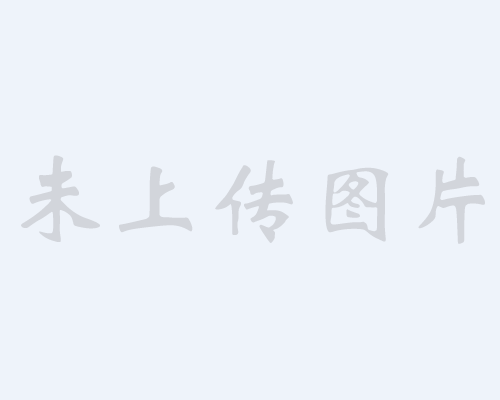 ��������ʽ��